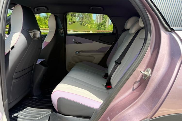 Used BYD Dolphin 2023 420 km Free Version Interior 4