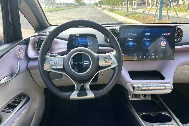 Used BYD Dolphin 2023 401km Knight Edition Interior 6