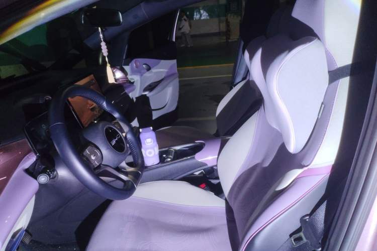 Used BYD Dolphin 2023 420 km Free Version Left Front Seat