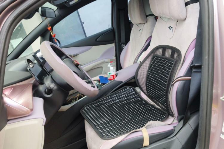 Used BYD Dolphin 2023 420 km Fashion Edition Left Front Seat