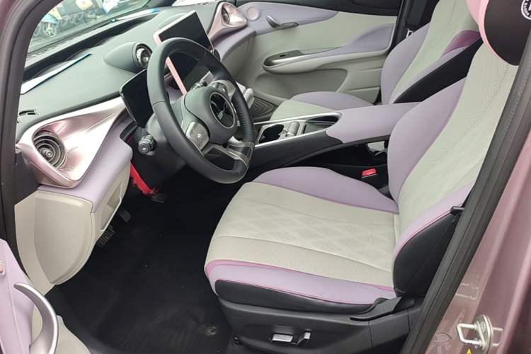 Used BYD Dolphin 2023 420 km Fashion Edition Left Front Seat