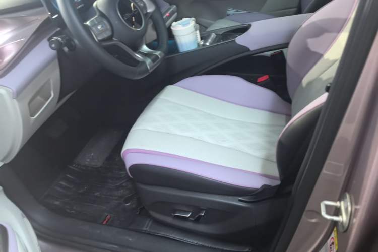 Used BYD Dolphin 2023 401km Knight Edition Left Front Seat
