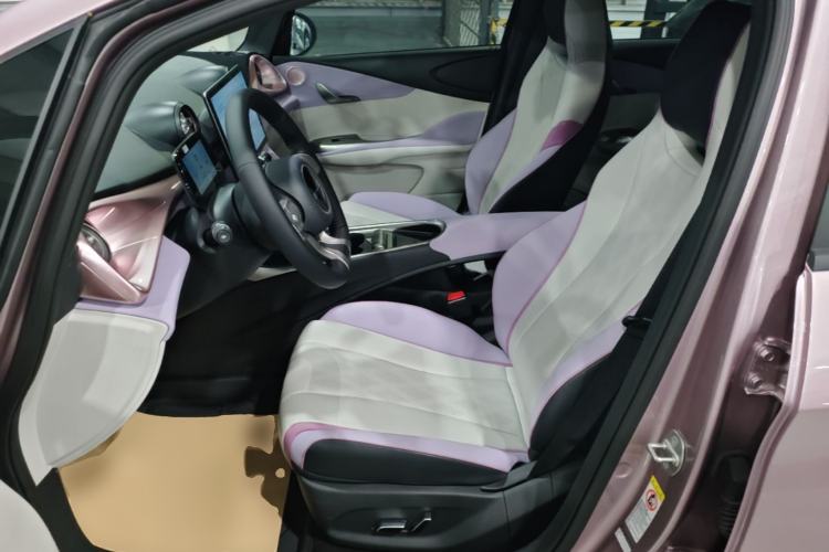 Used BYD Dolphin 2023 420 km Fashion Edition Left Front Seat
