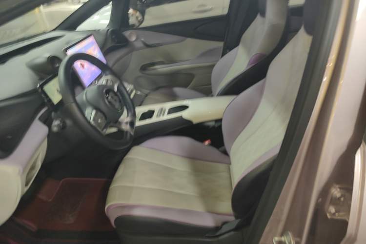 Used BYD Dolphin 2023 420 km Fashion Edition Left Front Seat