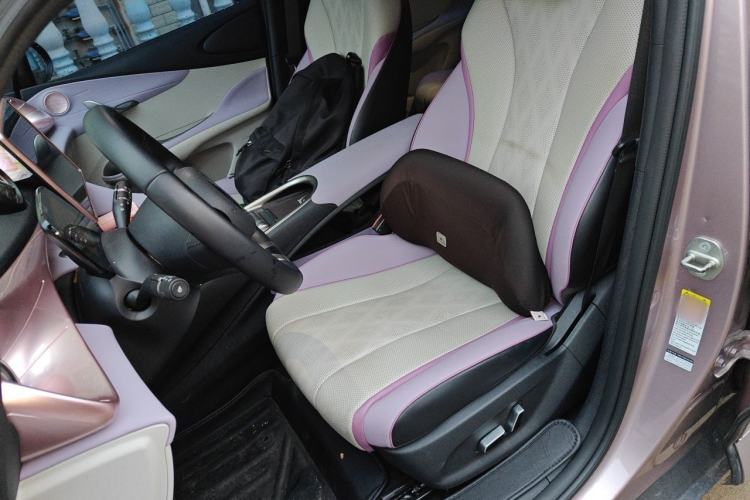 Used BYD Dolphin 2023 420 km Free Version Left Front Seat