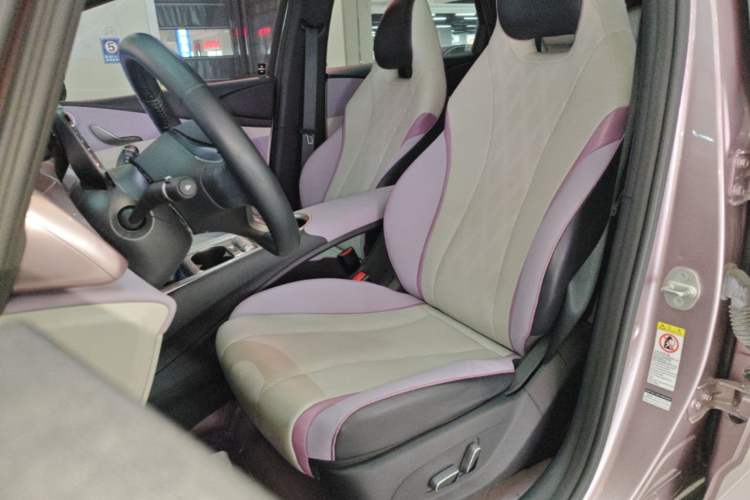 Used BYD Dolphin 2023 420 km Fashion Edition Left Front Seat