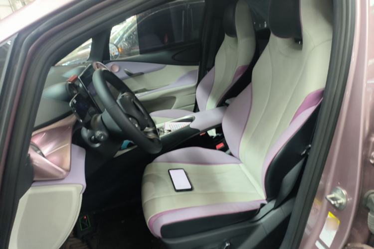 Used BYD Dolphin 2023 420 km Free Version Left Front Seat