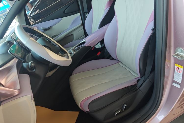 Used BYD Dolphin 2023 420 km Fashion Edition Left Front Seat