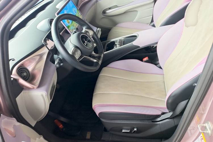 Used BYD Dolphin 2023 420 km Free Version Left Front Seat
