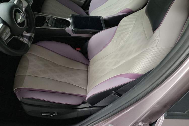 Used BYD Dolphin 2023 401km Knight Edition Left Front Seat