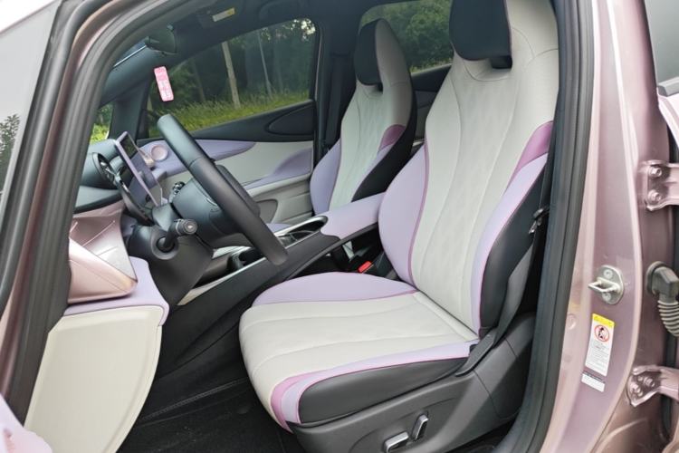 Used BYD Dolphin 2023 420 km Fashion Edition Left Front Seat