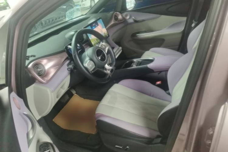 Used BYD Dolphin 2023 420 km Free Version Left Front Seat
