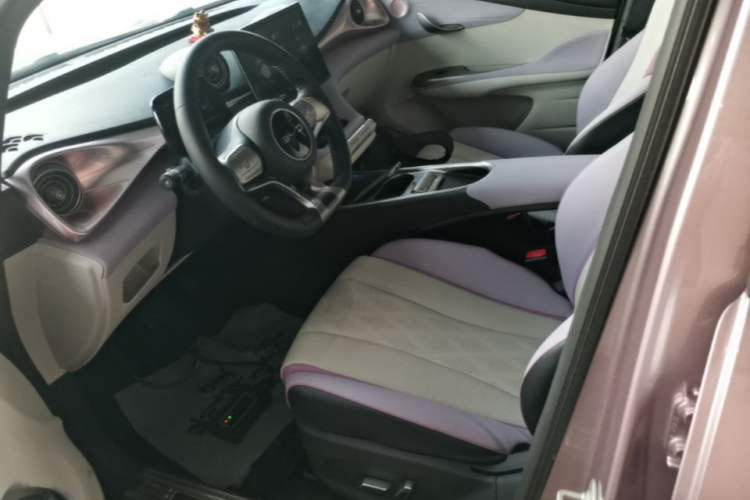 Used BYD Dolphin 2023 420 km Free Version Left Front Seat
