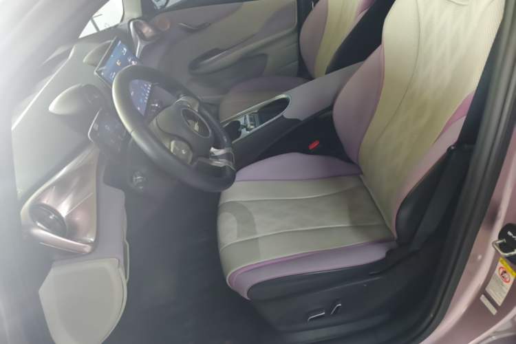 Used BYD Dolphin 2023 420 km Fashion Edition Left Front Seat