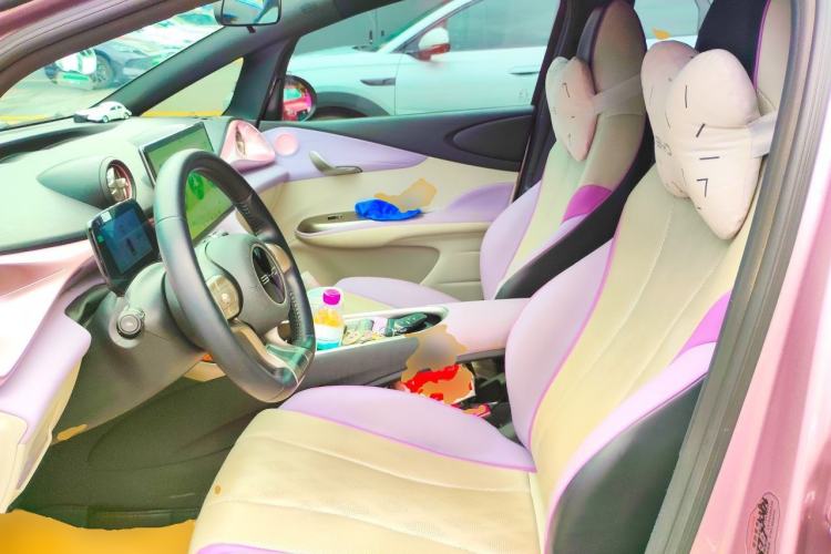 Used BYD Dolphin 2023 420 km Free Version Left Front Seat