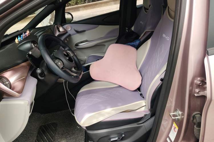 Used BYD Dolphin 2023 420 km Fashion Edition Left Front Seat