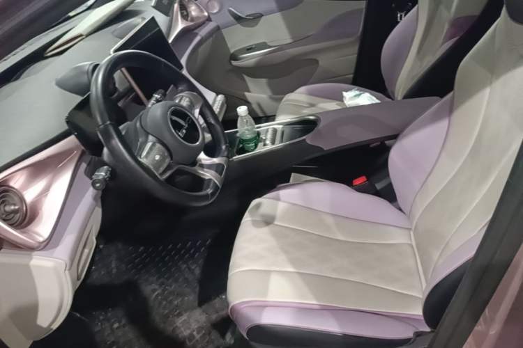 Used BYD Dolphin 2023 420 km Fashion Edition Left Front Seat