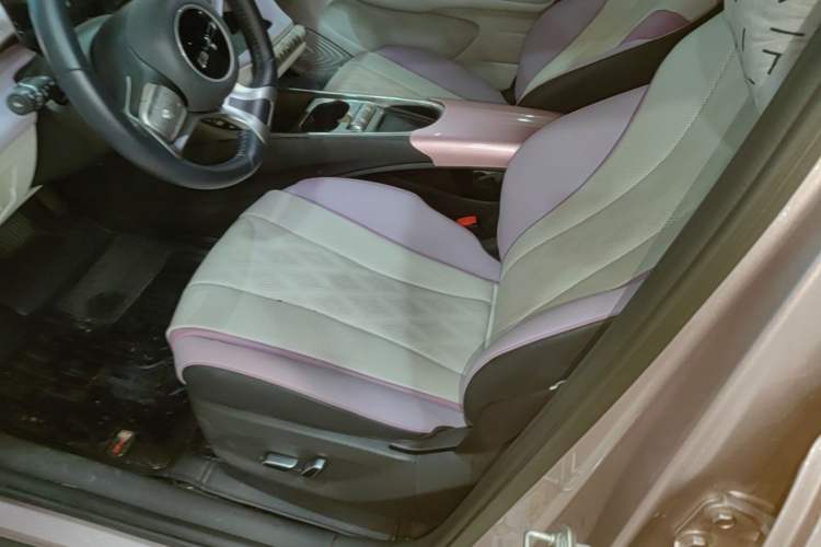 Used BYD Dolphin 2023 420 km Fashion Edition Left Front Seat