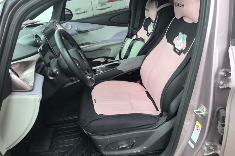 Used BYD Dolphin 2023 420 km Fashion Edition Left Front Seat