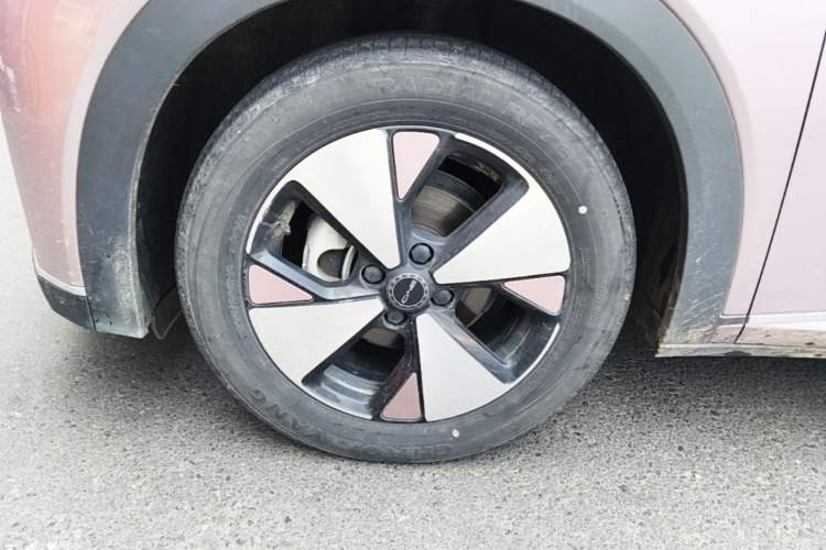 Used BYD Dolphin 2023 420 km Free Version Left Front Wheel Hub