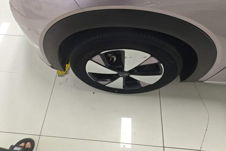 Used BYD Dolphin 2023 420 km Free Version Left Front Wheel Hub