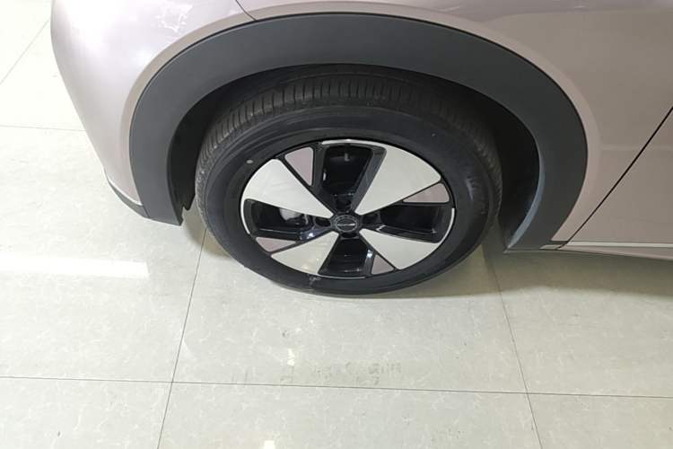 Used BYD Dolphin 2023 420 km Free Version Left Front Wheel Hub