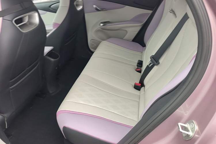 Used BYD Dolphin 2023 420 km Fashion Edition Left Rear Seat