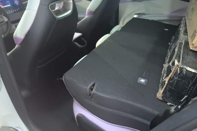 Used BYD Dolphin 2023 401km Knight Edition Left Rear Seat
