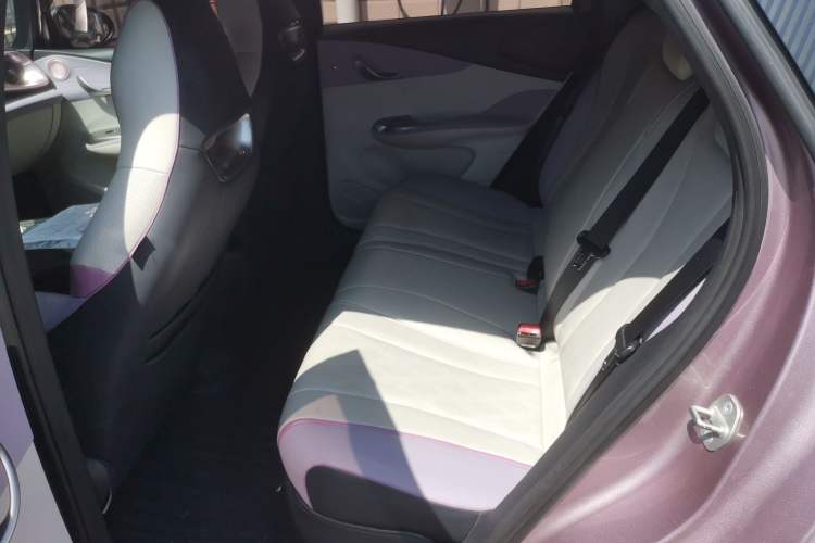 Used BYD Dolphin 2023 420 km Free Version Left Rear Seat