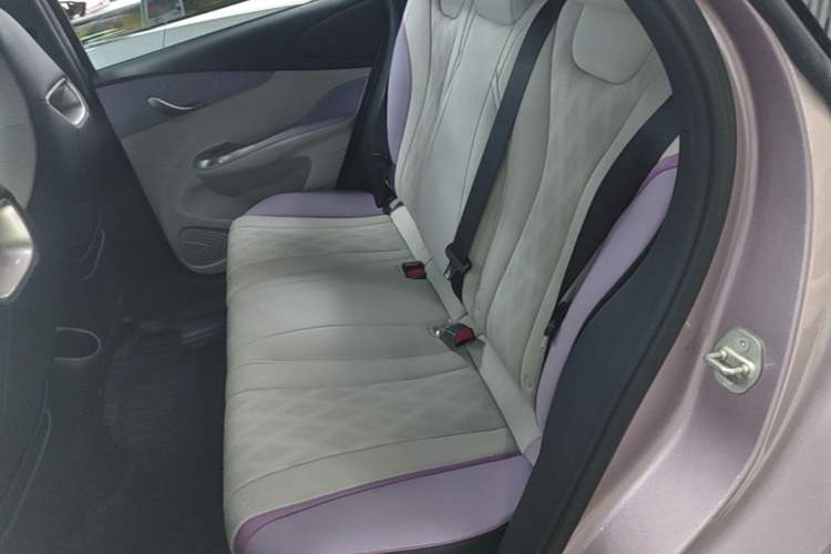 Used BYD Dolphin 2023 420 km Free Version Left Rear Seat