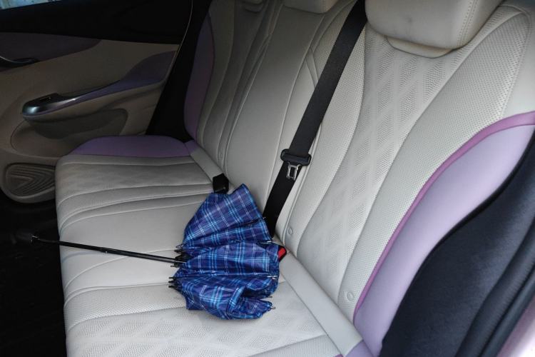 Used BYD Dolphin 2023 420 km Free Version Left Rear Seat