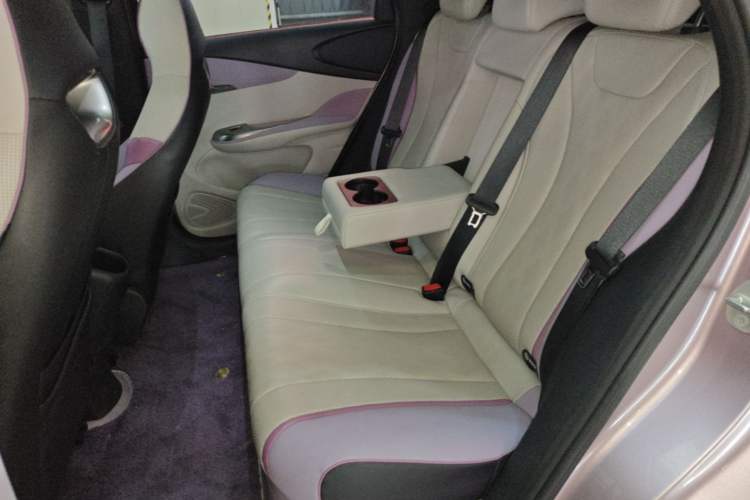 Used BYD Dolphin 2023 420 km Fashion Edition Left Rear Seat