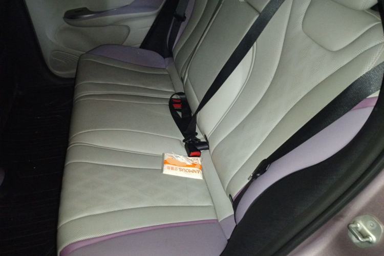 Used BYD Dolphin 2023 420 km Fashion Edition Left Rear Seat