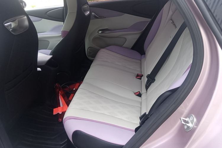 Used BYD Dolphin 2023 420 km Fashion Edition Left Rear Seat