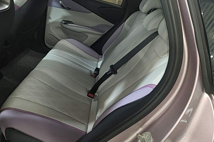 Used BYD Dolphin 2023 420 km Free Version Left Rear Seat