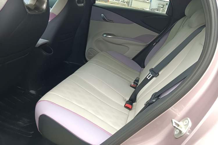 Used BYD Dolphin 2023 420 km Free Version Left Rear Seat