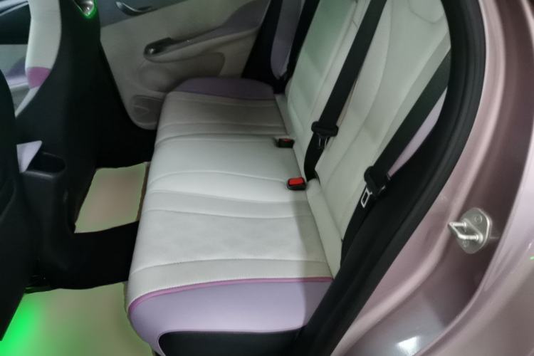 Used BYD Dolphin 2023 420 km Fashion Edition Left Rear Seat