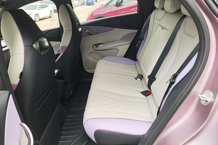 Used BYD Dolphin 2023 420 km Fashion Edition Left Rear Seat