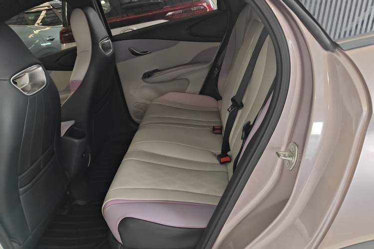 Used BYD Dolphin 2023 420 km Free Version Left Rear Seat