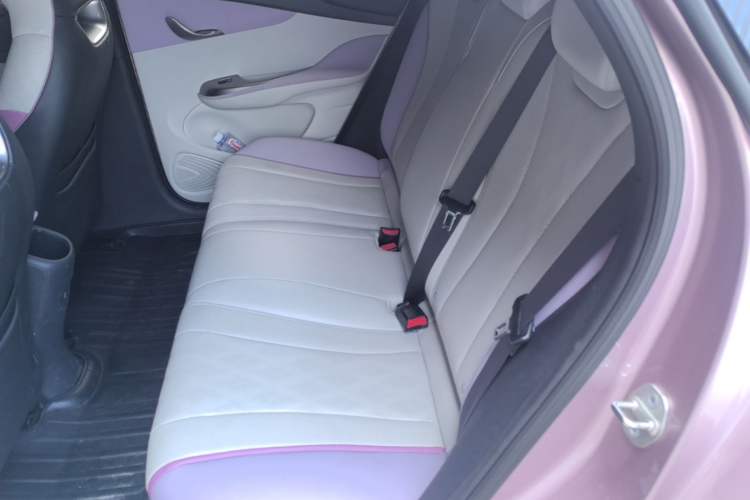 Used BYD Dolphin 2023 420 km Free Version Left Rear Seat