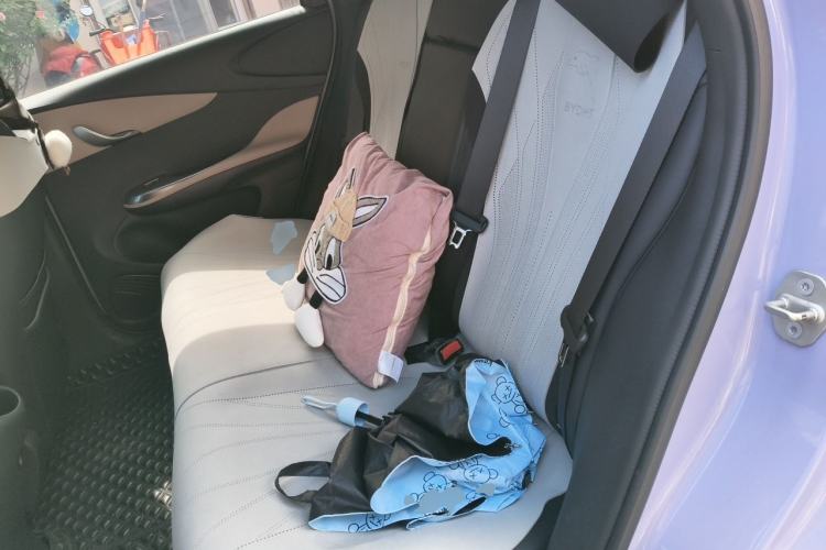 Used BYD Dolphin 2023 420 km Fashion Edition Left Rear Seat