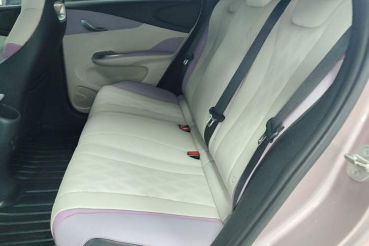 Used BYD Dolphin 2023 420 km Free Version Left Rear Seat
