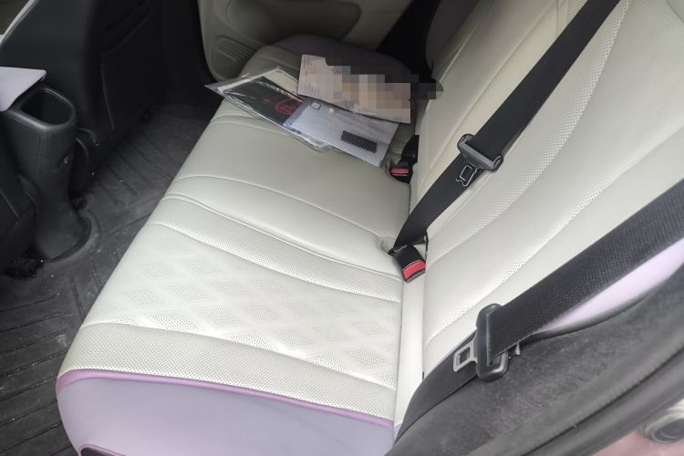 Used BYD Dolphin 2023 420 km Fashion Edition Left Rear Seat