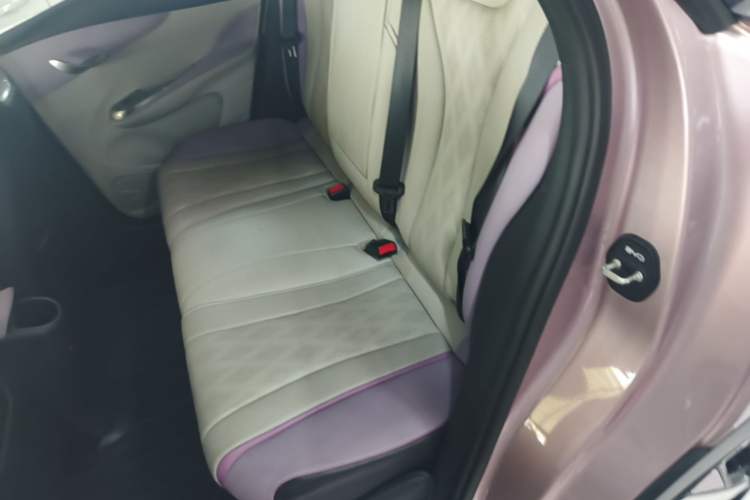 Used BYD Dolphin 2023 420 km Fashion Edition Left Rear Seat