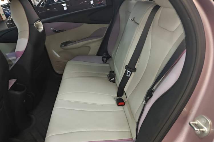 Used BYD Dolphin 2023 420 km Fashion Edition Left Rear Seat