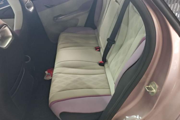 Used BYD Dolphin 2023 420 km Fashion Edition Left Rear Seat