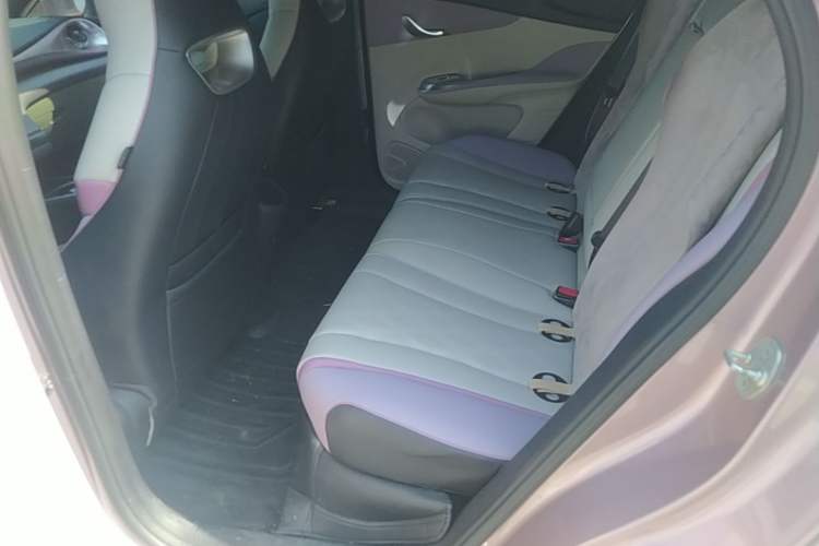 Used BYD Dolphin 2023 420 km Fashion Edition Left Rear Seat