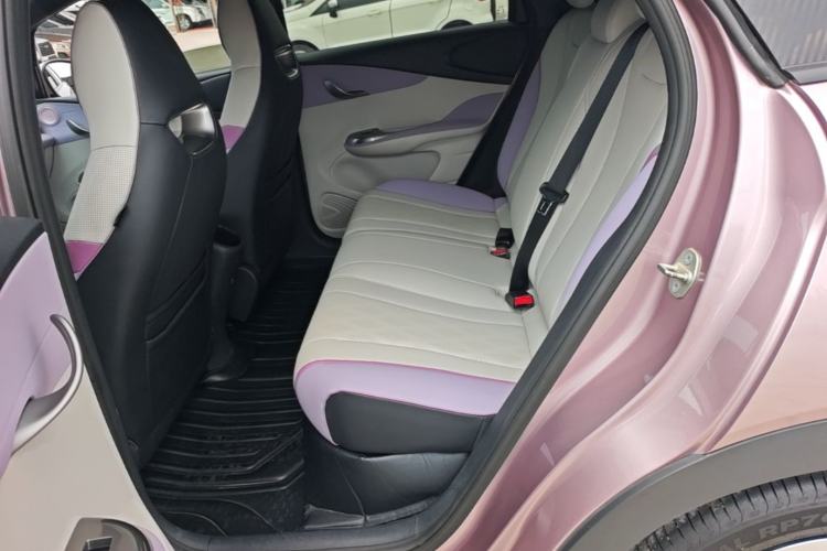 Used BYD Dolphin 2023 420 km Free Version Left Rear Seat