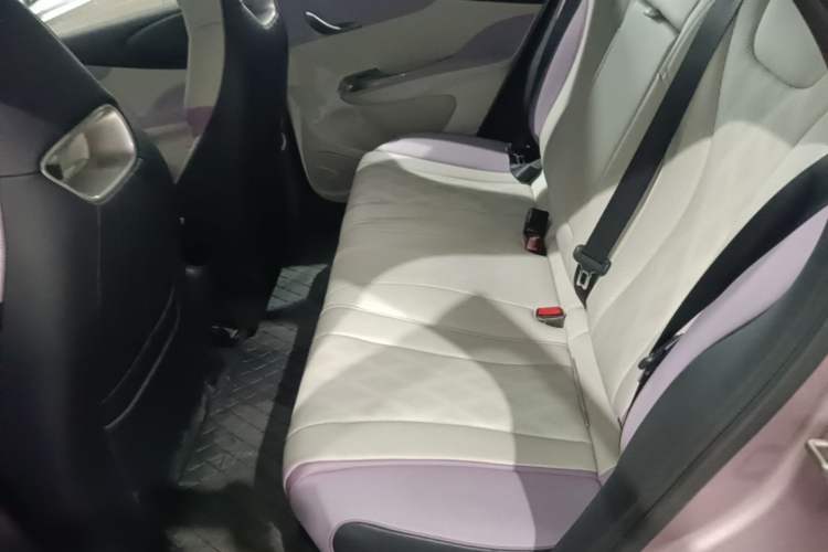 Used BYD Dolphin 2023 420 km Fashion Edition Left Rear Seat