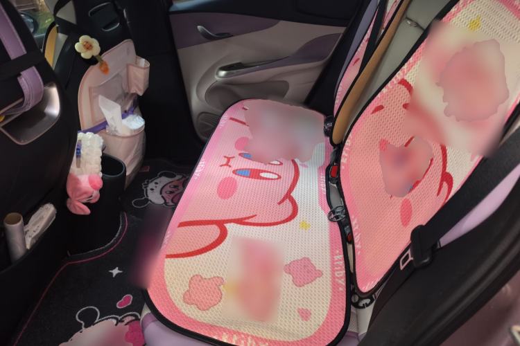Used BYD Dolphin 2023 420 km Fashion Edition Left Rear Seat